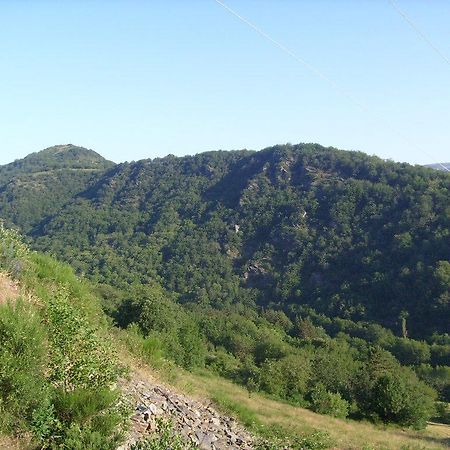 Вилла Les Ruches Cevenoles Rousses Экстерьер фото