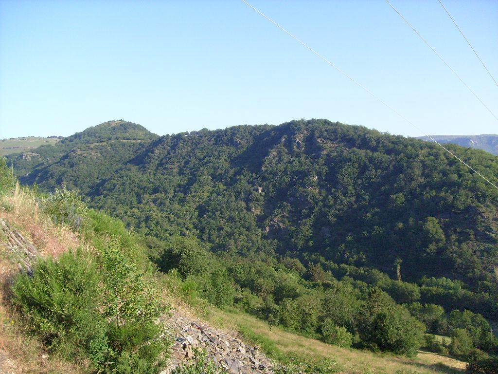 Вилла Les Ruches Cevenoles Rousses Экстерьер фото